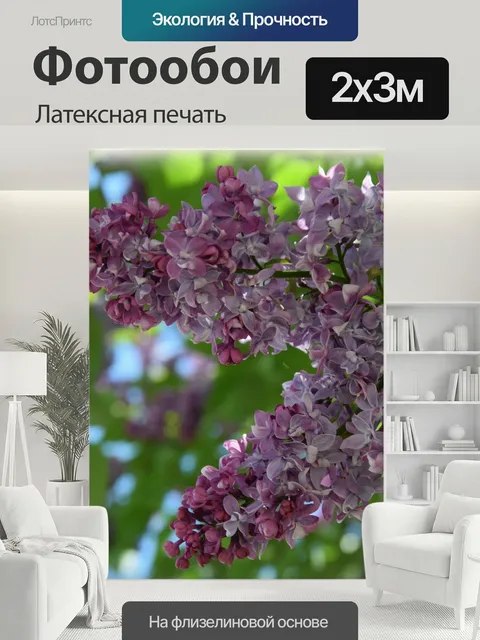 200 × 300 см · Латексная печать