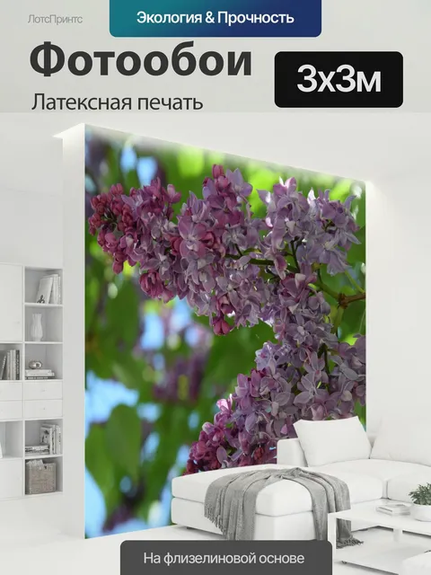 300 × 300 см · Латексная печать