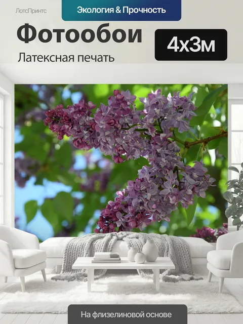 400 × 300 см · Латексная печать