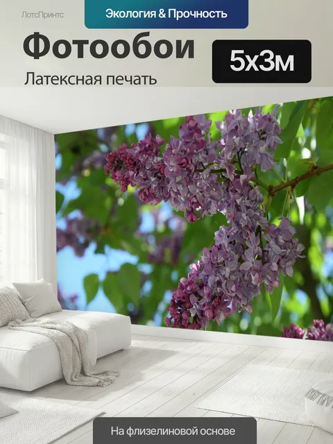 500 × 300 см · Латексная печать