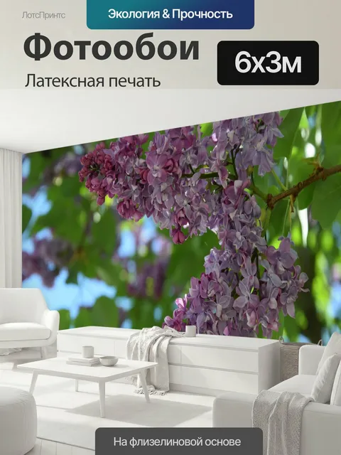 600 × 300 см · Латексная печать