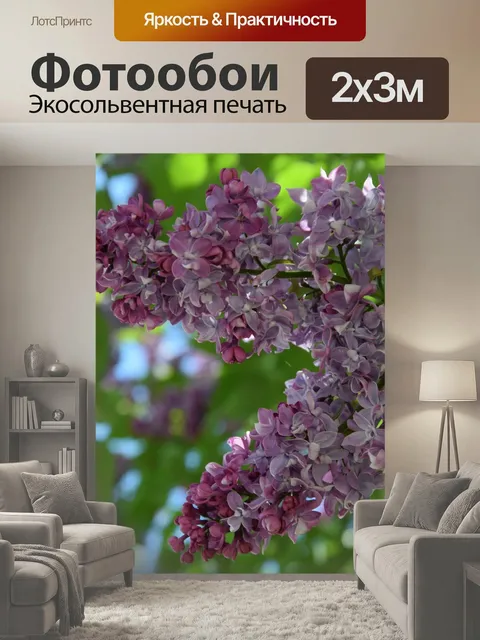 200 × 300 см · Экосольвентная печать