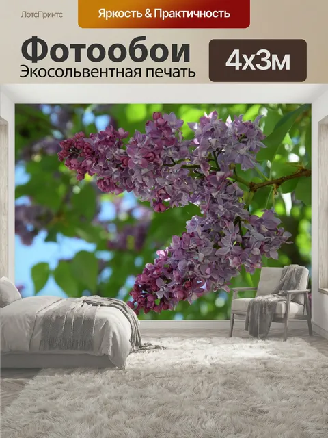 400 × 300 см · Экосольвентная печать