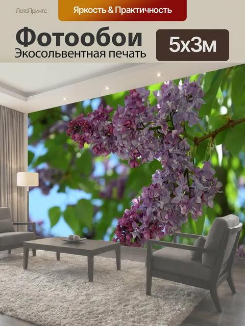 500 × 300 см · Экосольвентная печать