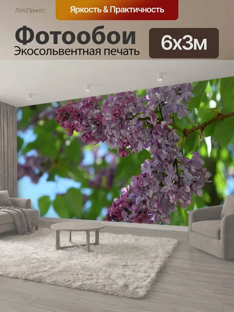 600 × 300 см · Экосольвентная печать