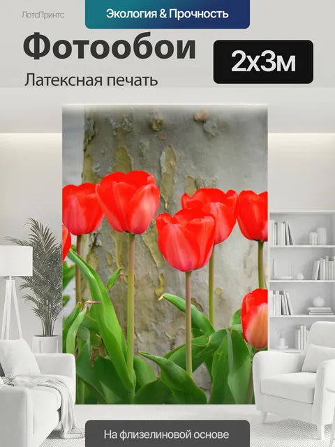 200 × 300 см · Латексная печать