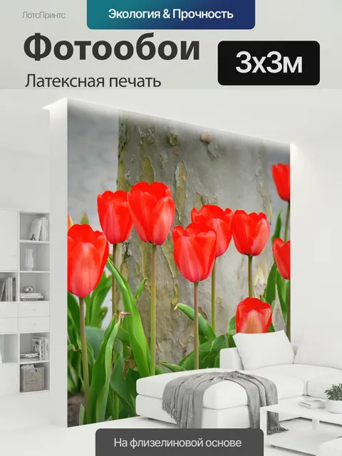 300 × 300 см · Латексная печать