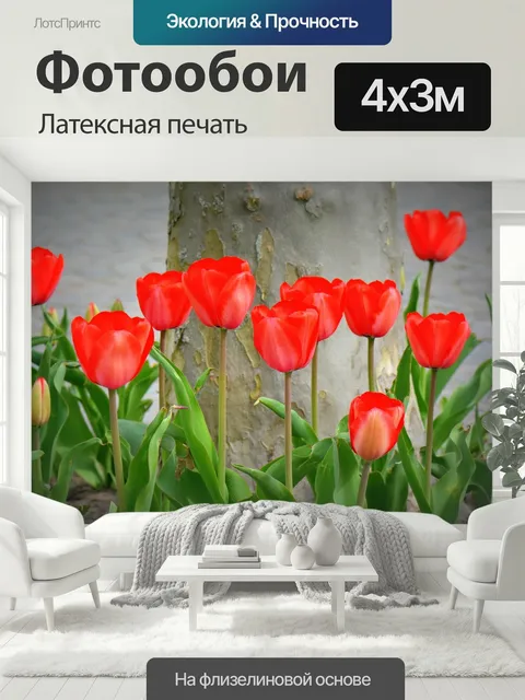 400 × 300 см · Латексная печать