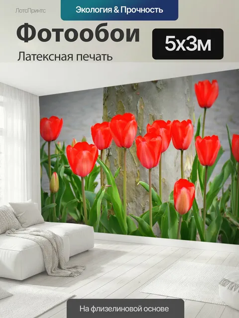 500 × 300 см · Латексная печать