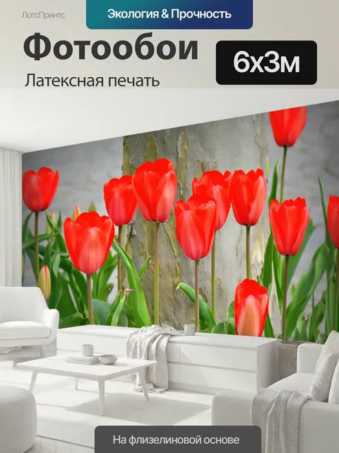 600 × 300 см · Латексная печать