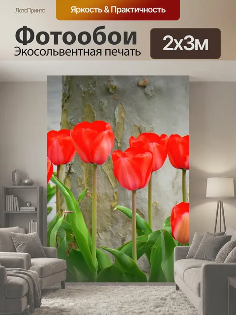200 × 300 см · Экосольвентная печать