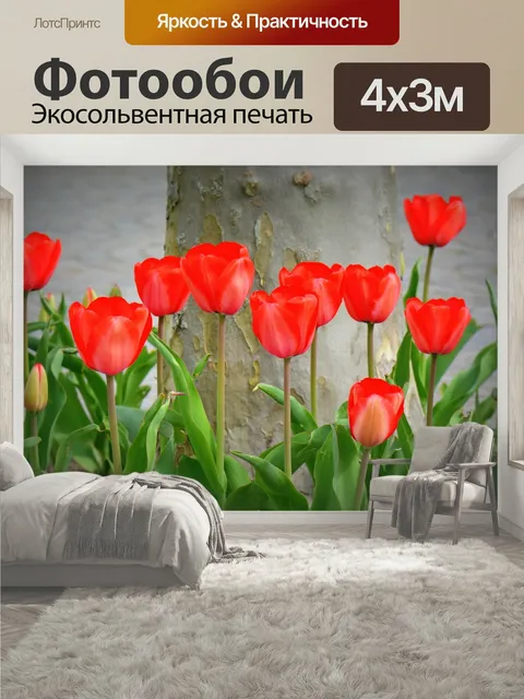 400 × 300 см · Экосольвентная печать