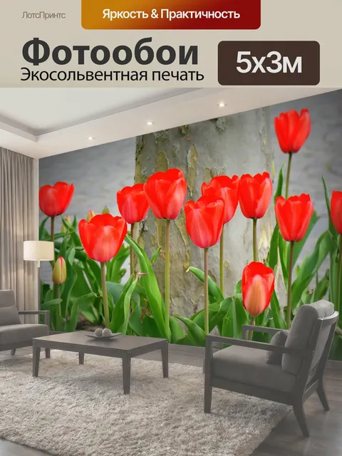 500 × 300 см · Экосольвентная печать