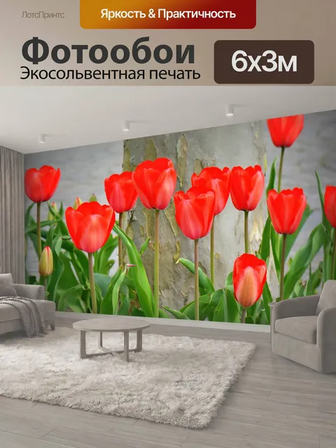 600 × 300 см · Экосольвентная печать