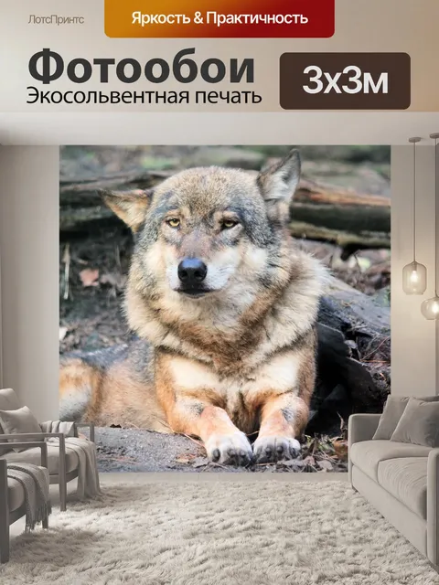 Фотообои Волк, зверь, врущий