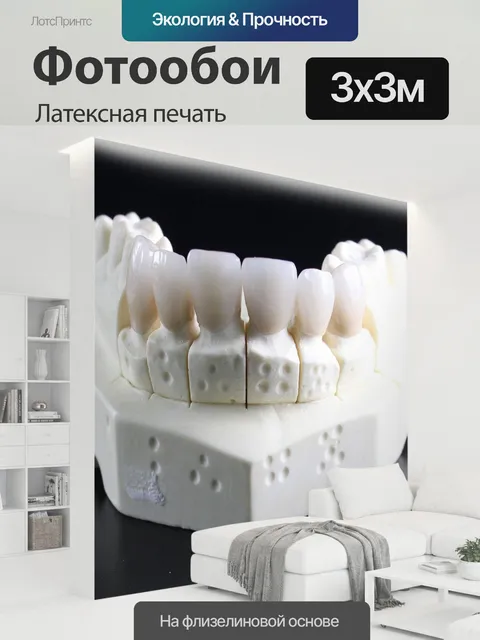 300 × 300 см · Латексная печать