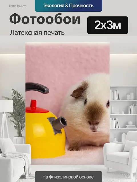 200 × 300 см · Латексная печать