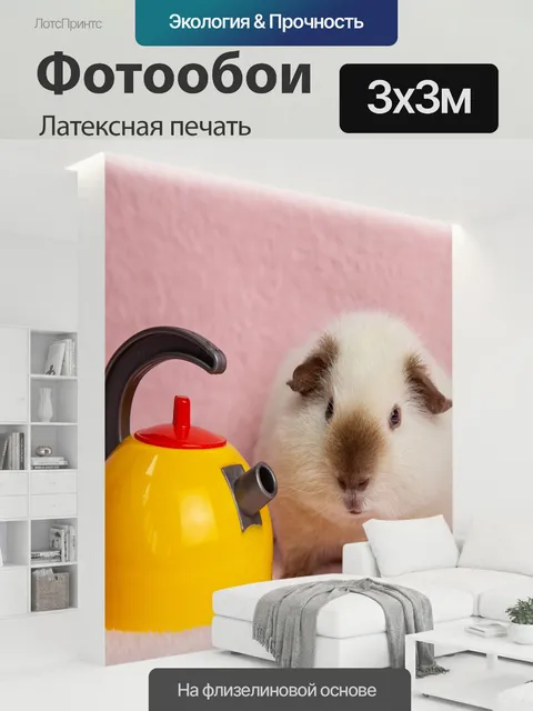 300 × 300 см · Латексная печать