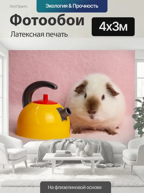 400 × 300 см · Латексная печать