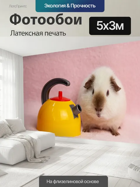 500 × 300 см · Латексная печать