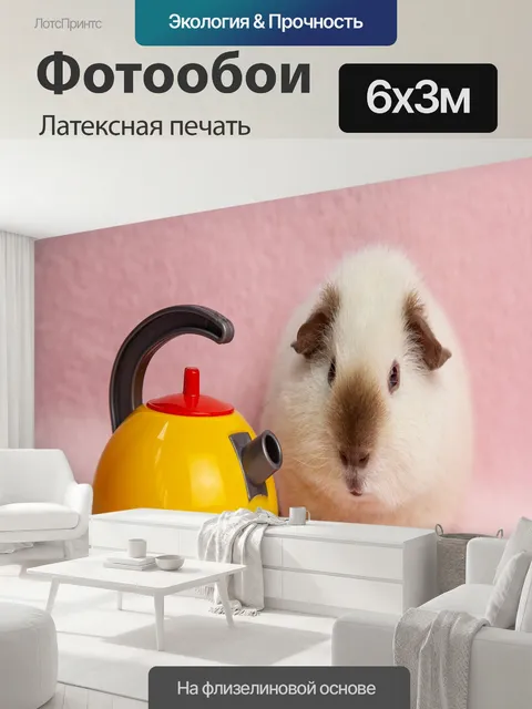 600 × 300 см · Латексная печать
