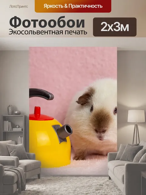 200 × 300 см · Экосольвентная печать