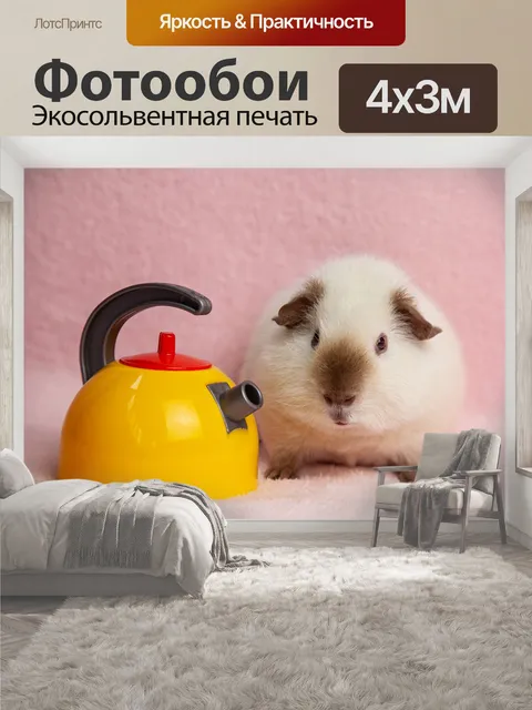 400 × 300 см · Экосольвентная печать