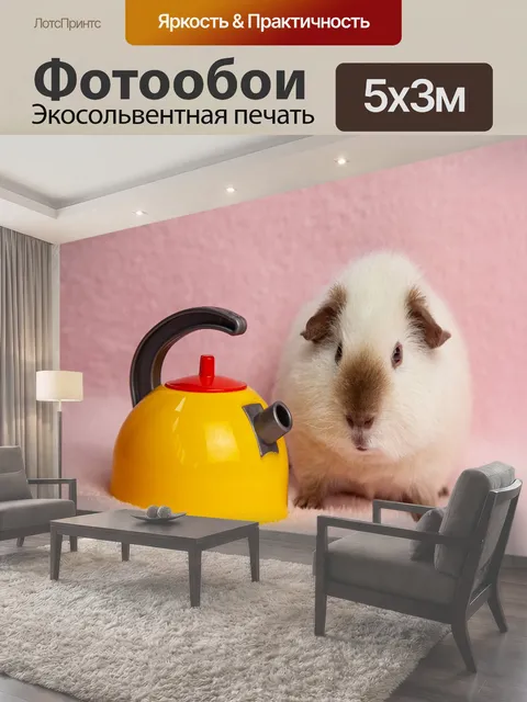 500 × 300 см · Экосольвентная печать