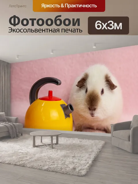 600 × 300 см · Экосольвентная печать