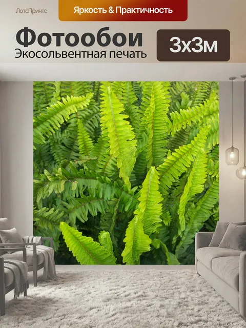 Фотообои Завод, зеленые растения, папоротник