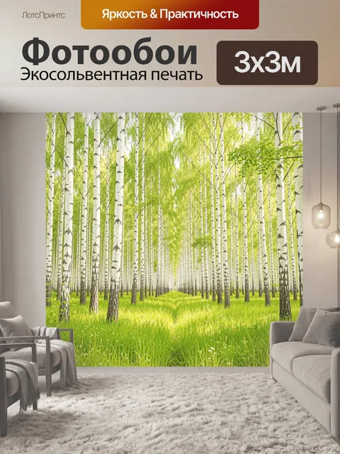 Фотообои Берёзовая роща с зелёной травой. Светлый природный пейзаж с высокими стройными стволами и молодой листвой, за…