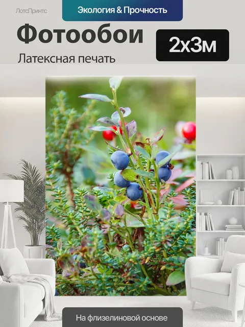 200 × 300 см · Латексная печать