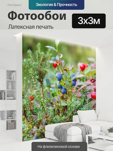 300 × 300 см · Латексная печать