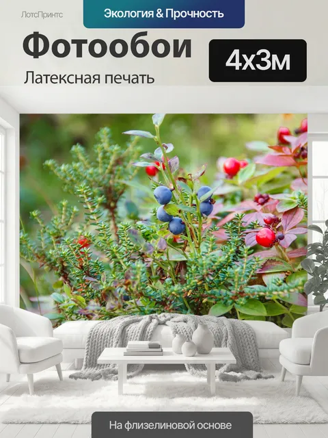 400 × 300 см · Латексная печать