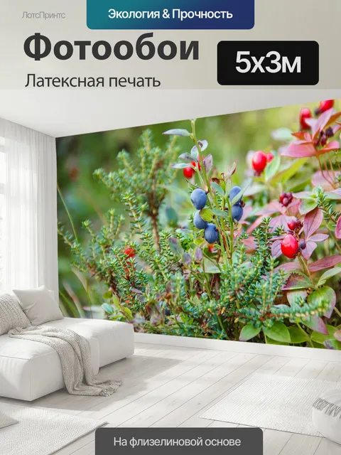 500 × 300 см · Латексная печать