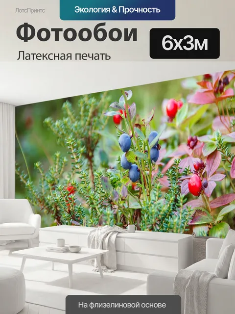 600 × 300 см · Латексная печать