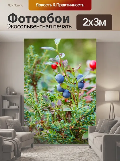 200 × 300 см · Экосольвентная печать