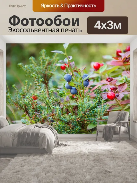 400 × 300 см · Экосольвентная печать