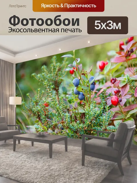 500 × 300 см · Экосольвентная печать