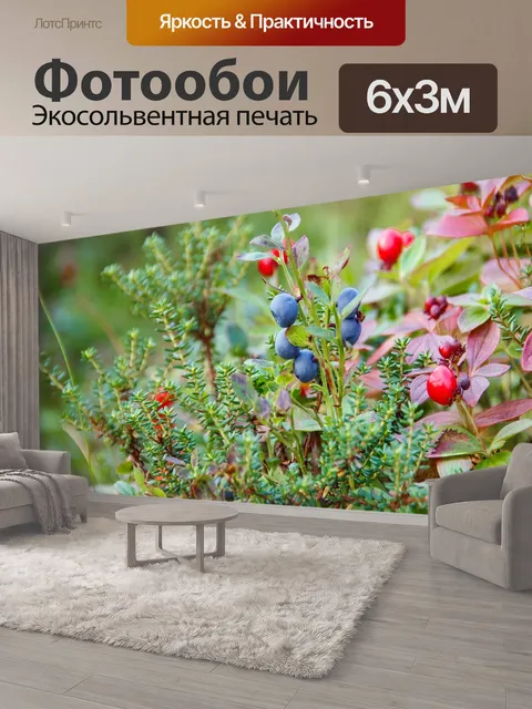 600 × 300 см · Экосольвентная печать
