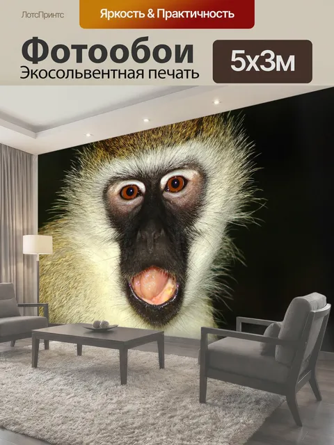 Фотообои Обезьяна, makake, африке
