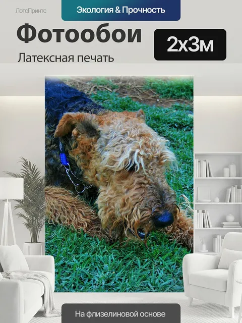200 × 300 см · Латексная печать