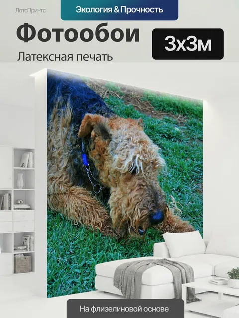300 × 300 см · Латексная печать