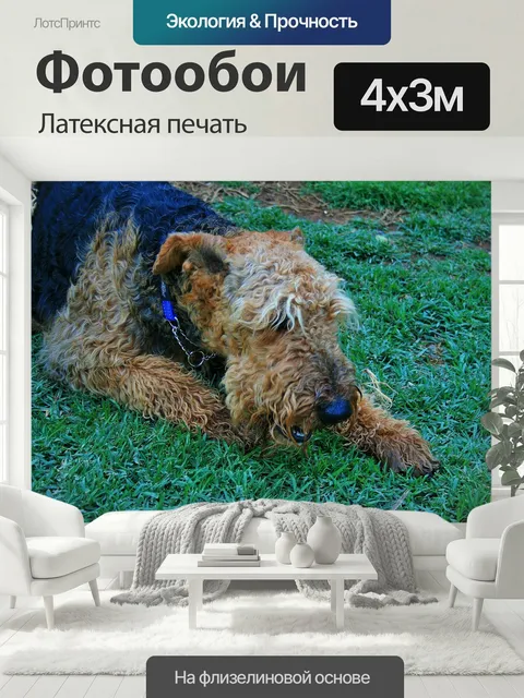 400 × 300 см · Латексная печать