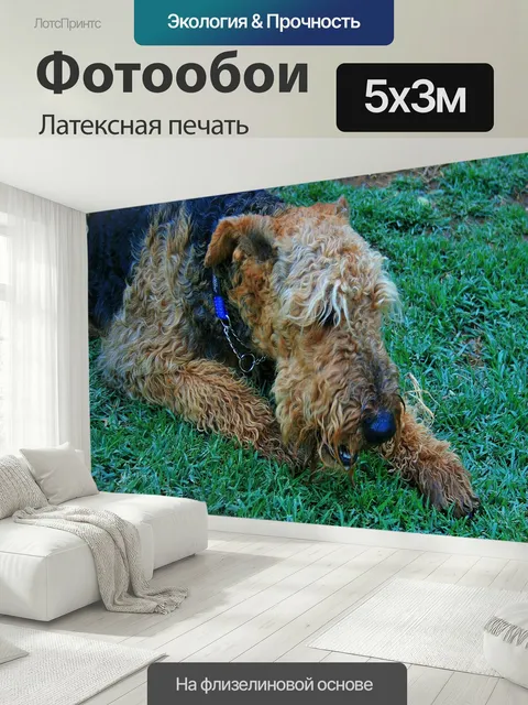 500 × 300 см · Латексная печать