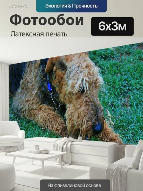 600 × 300 см · Латексная печать
