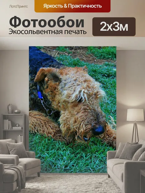 200 × 300 см · Экосольвентная печать
