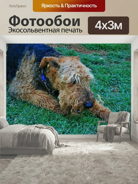 400 × 300 см · Экосольвентная печать