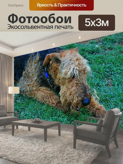 500 × 300 см · Экосольвентная печать