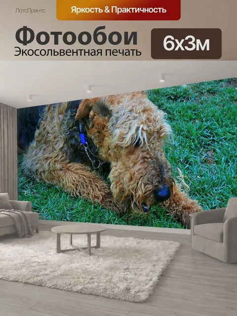 600 × 300 см · Экосольвентная печать